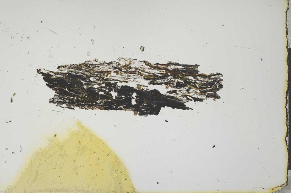 Plane Polarized, S20589