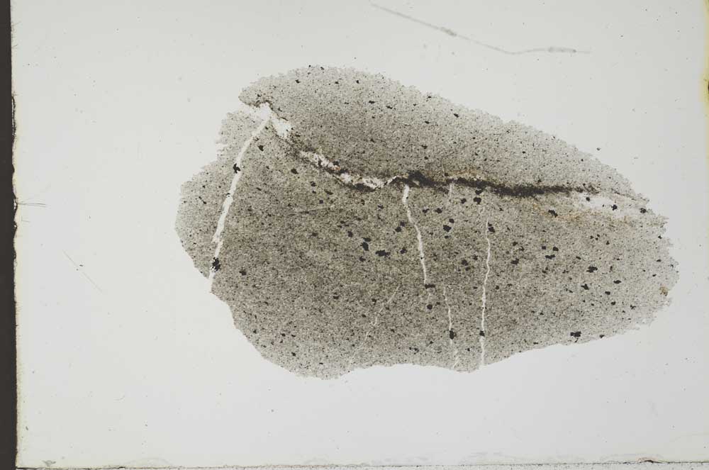 Plane Polarized, S20592