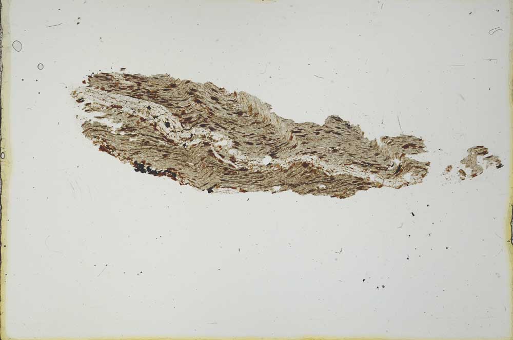 Plane Polarized, S20603