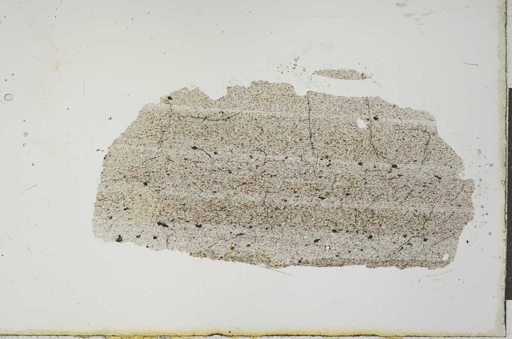 Plane Polarized, S20616