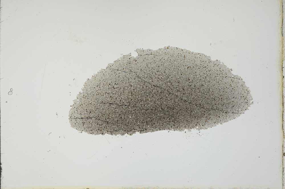 Plane Polarized, S20618