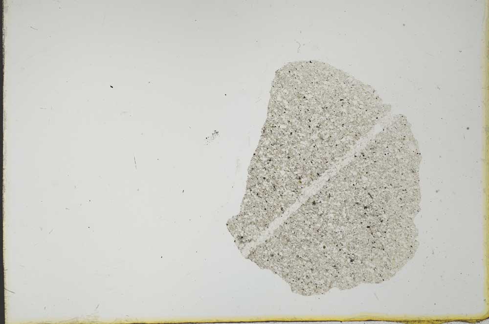 Plane Polarized, S20620
