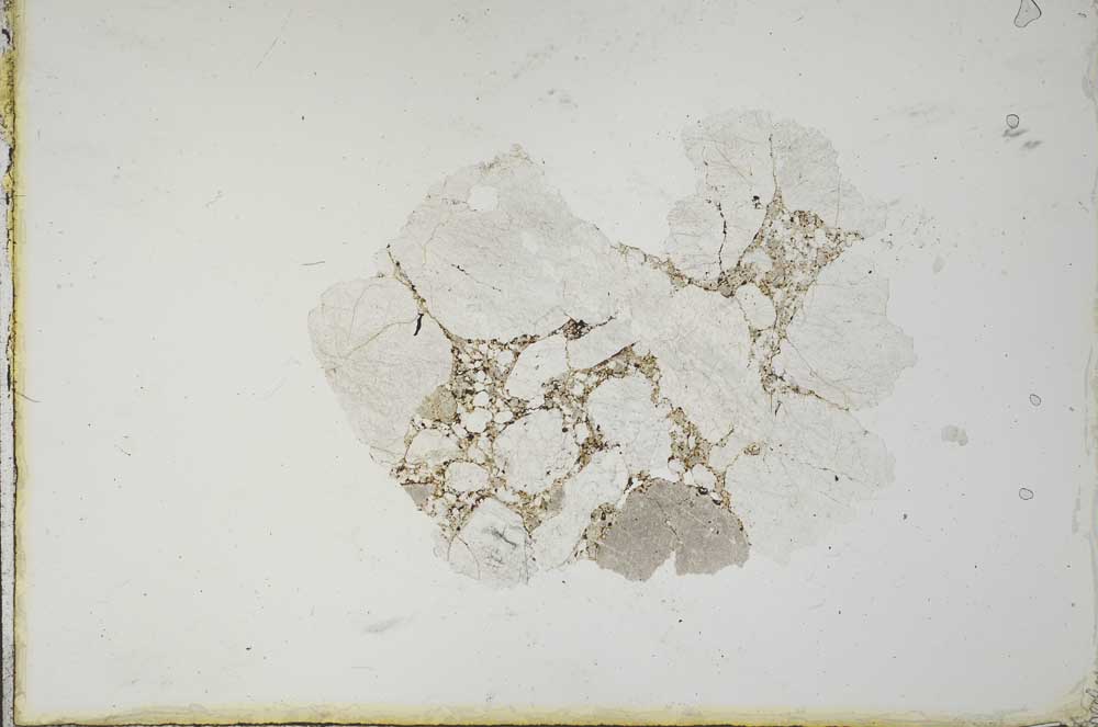 Plane Polarized, S20621