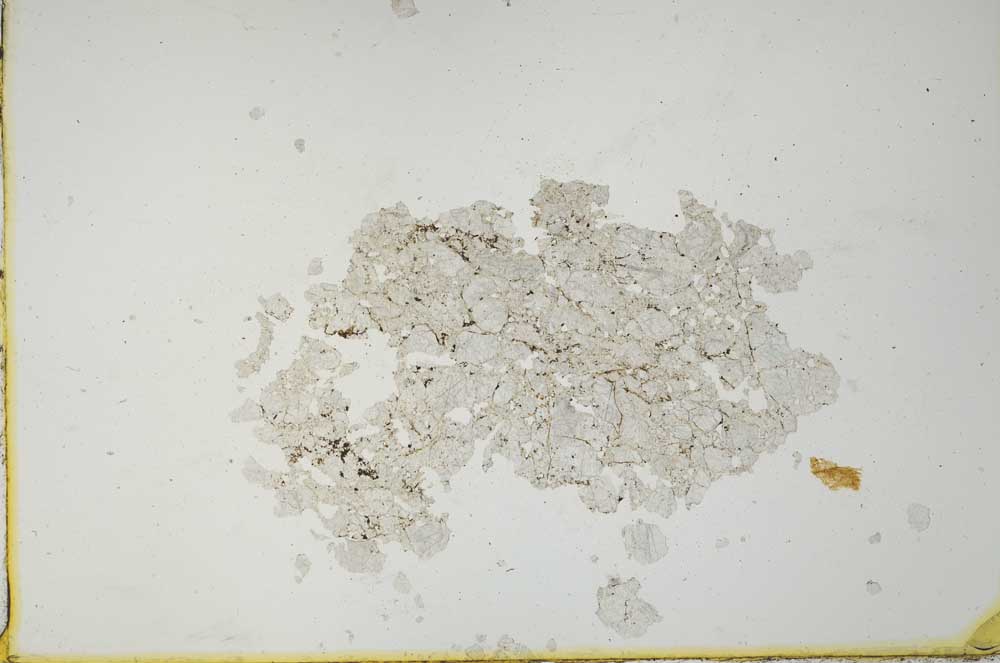 Plane Polarized, S20623