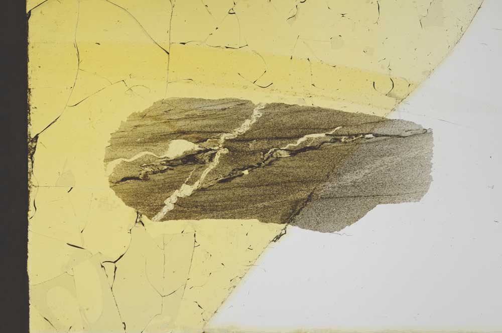 Plane Polarized, S20625