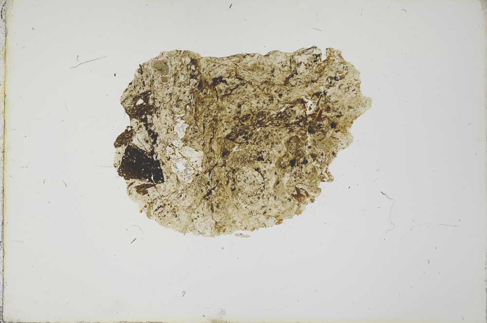 Plane Polarized, S20629