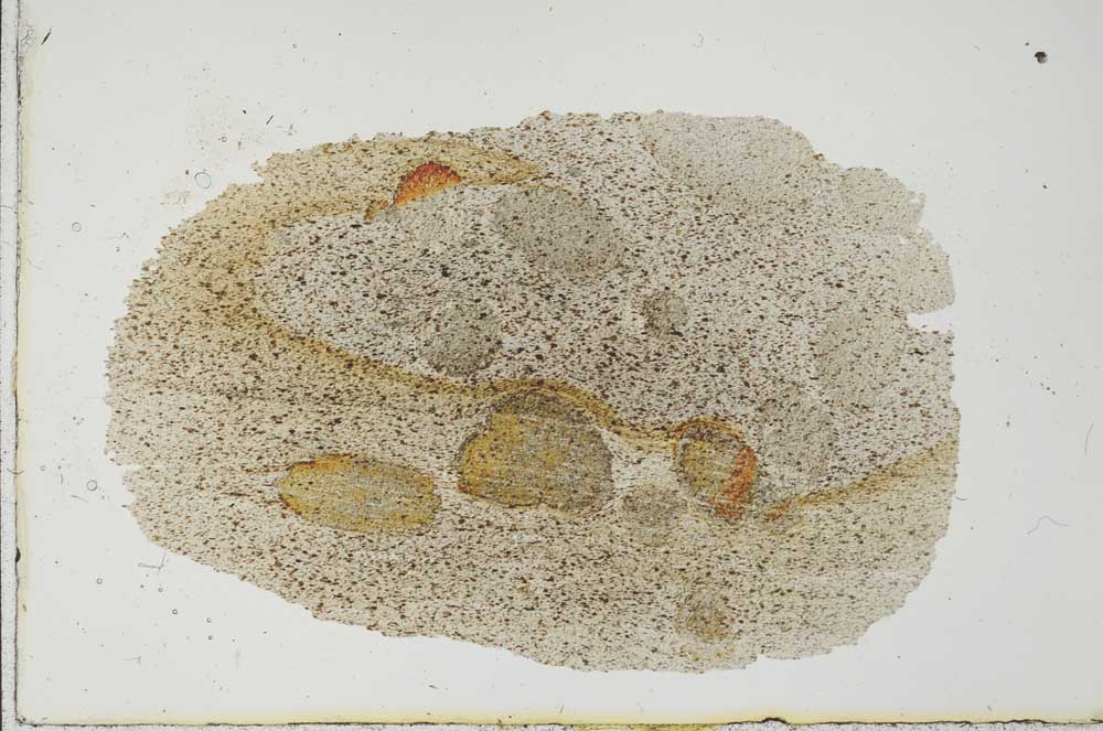 Plane Polarized, S20631