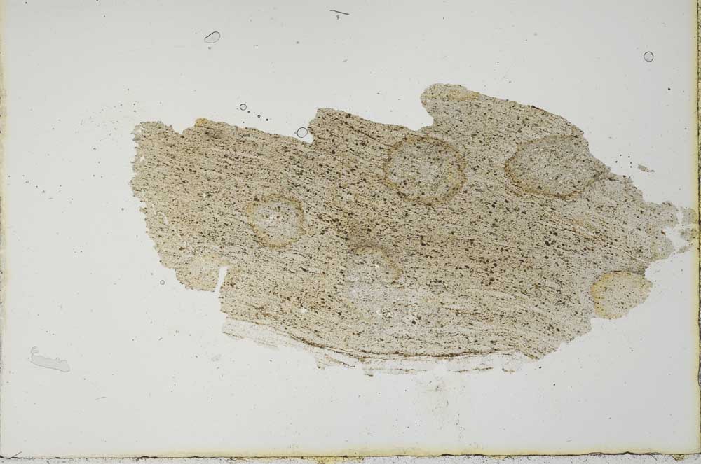 Plane Polarized, S20632