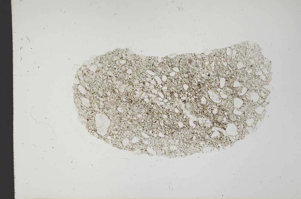 Plane Polarized, S20634