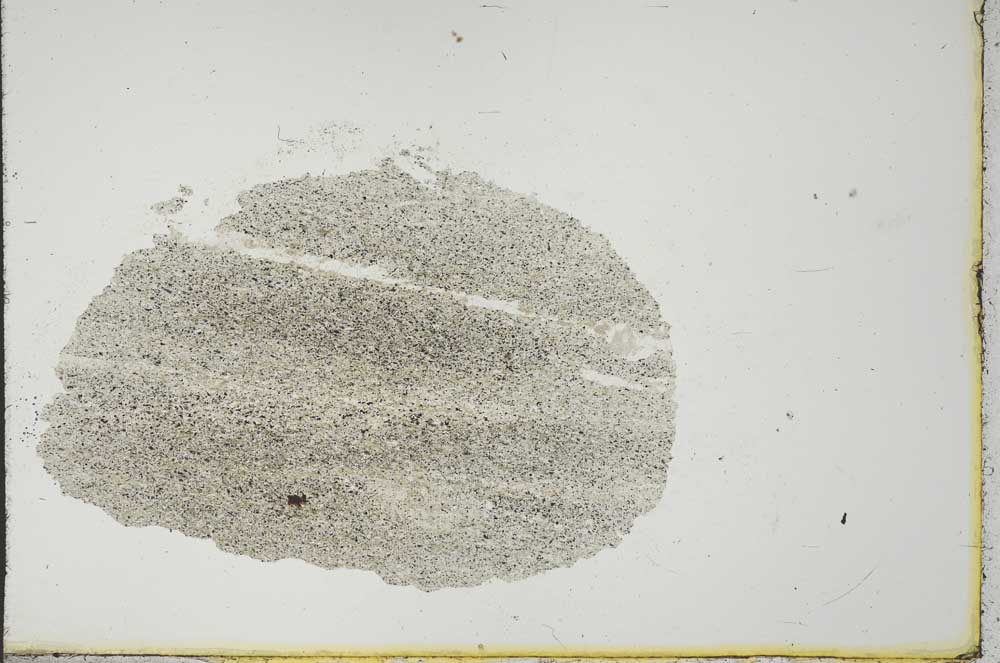 Plane Polarized, S20646