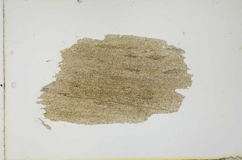 Plane Polarized, S20647