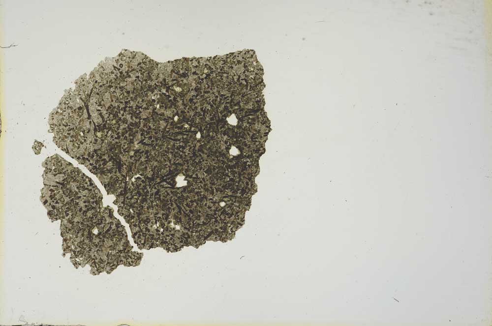 Plane Polarized, S20649