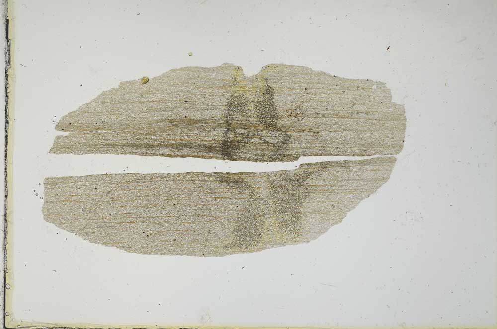 Plane Polarized, S20653