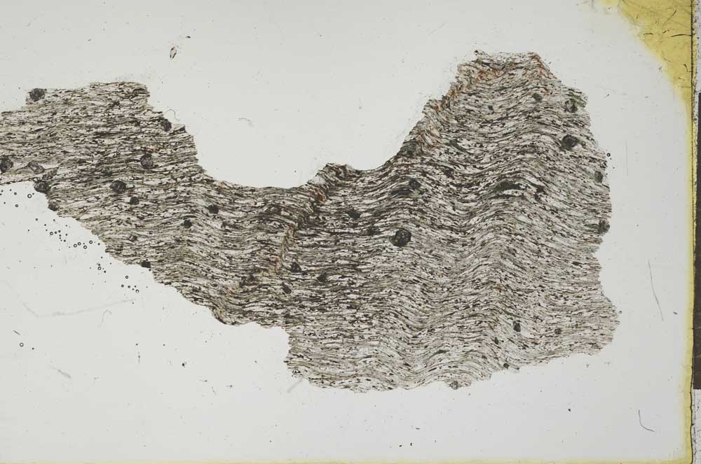Plane Polarized, S20667