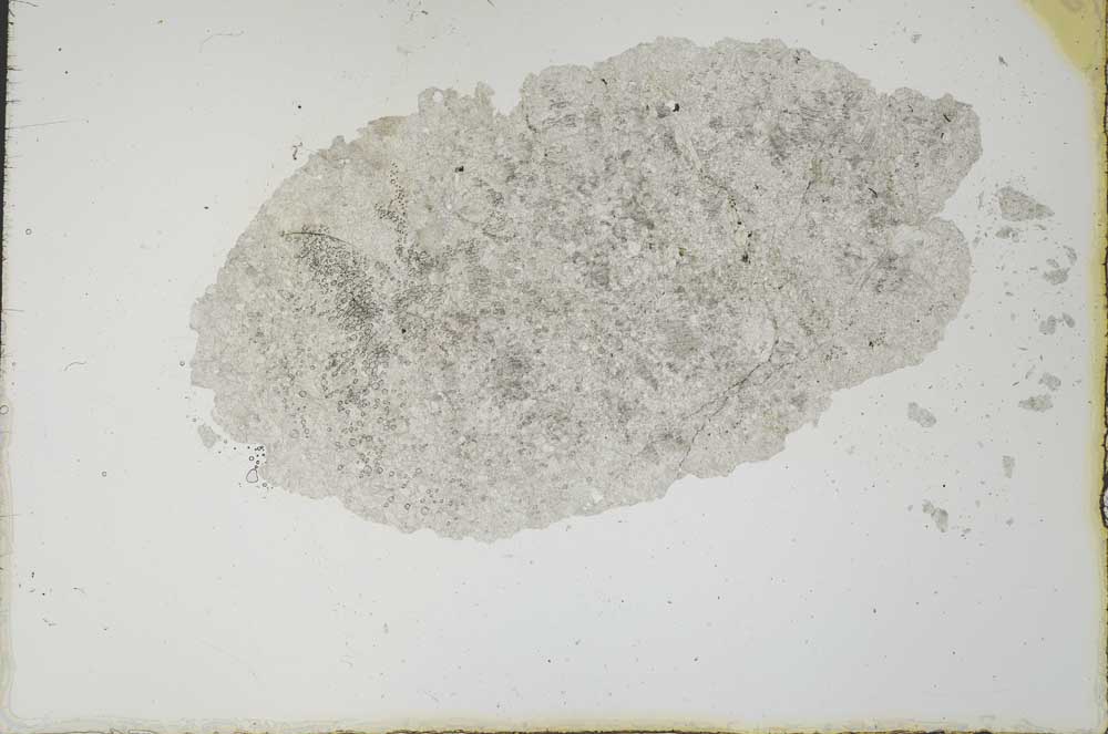 Plane Polarized, S20672
