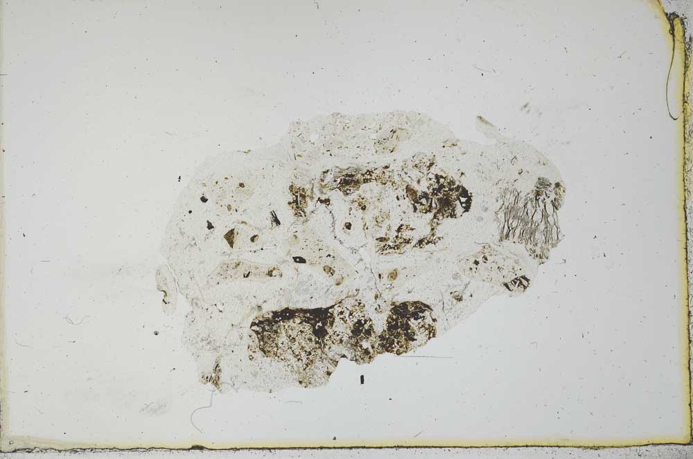 Plane Polarized, S20689