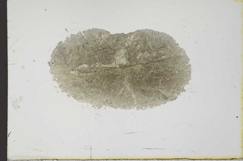 Plane Polarized, S20695
