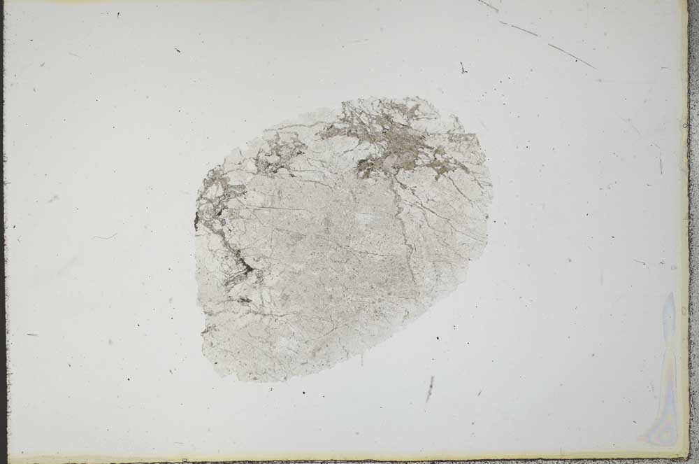 Plane Polarized, S20696
