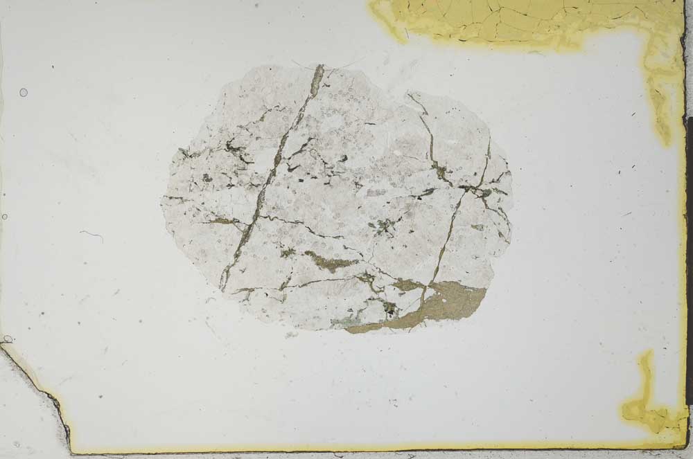Plane Polarized, S20715