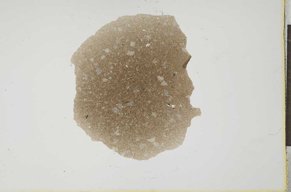 Plane Polarized, S20728