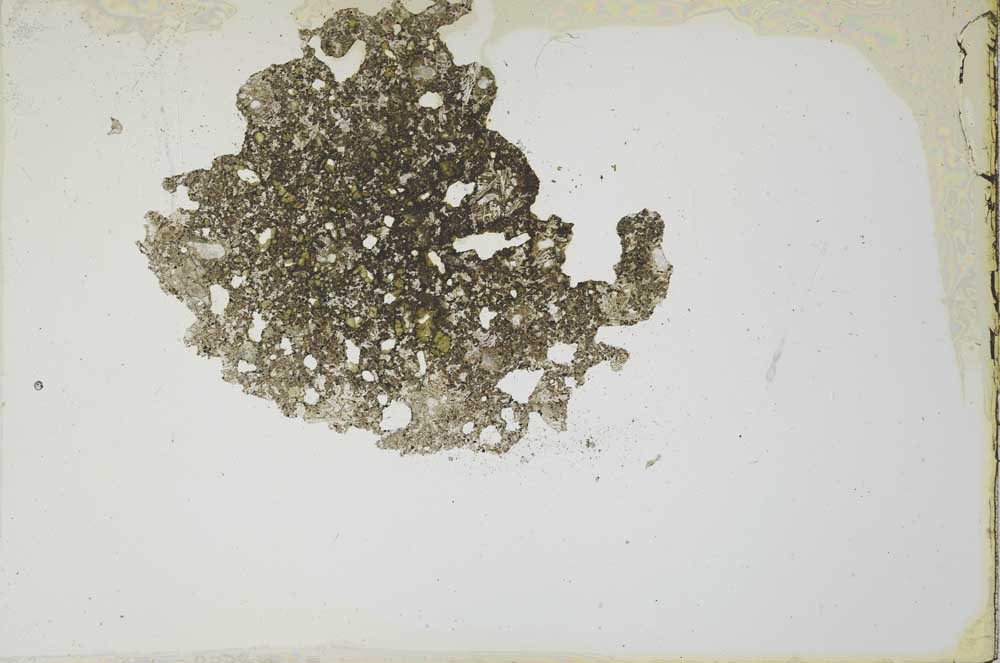 Plane Polarized, S20733