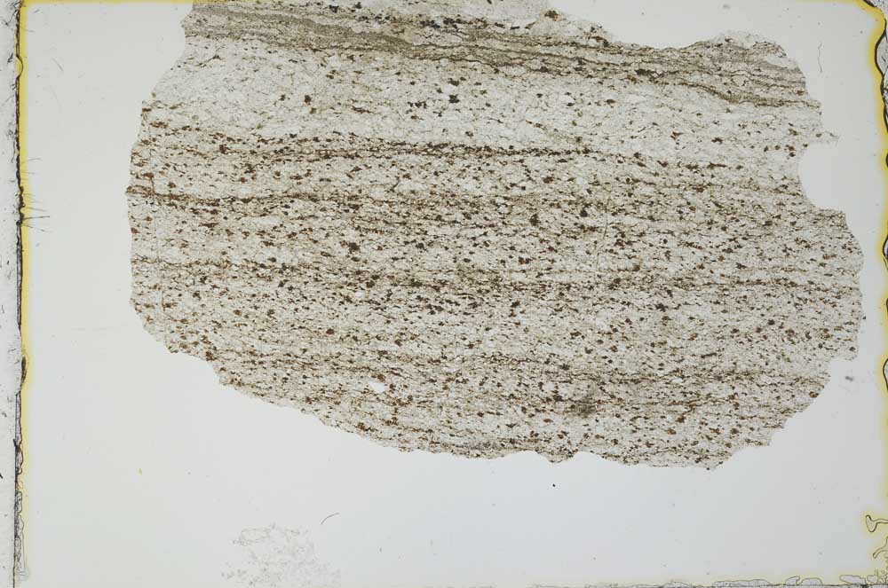 Plane Polarized, S20742