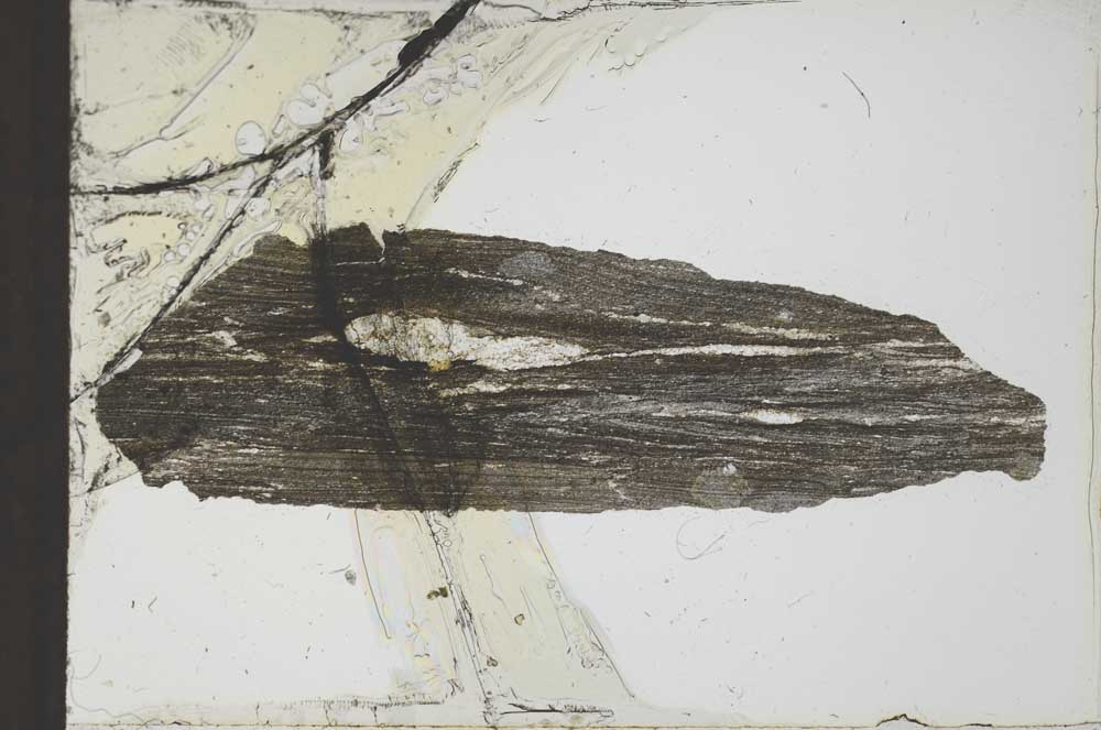 Plane Polarized, S20743