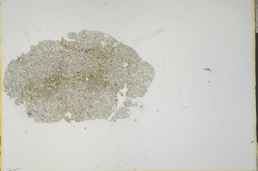 Plane Polarized, S20752