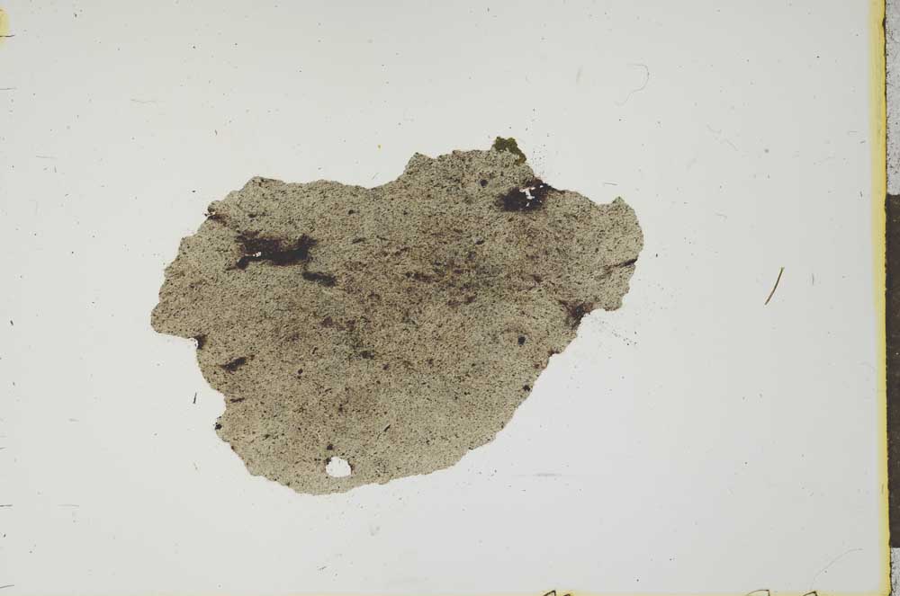 Plane Polarized, S20770