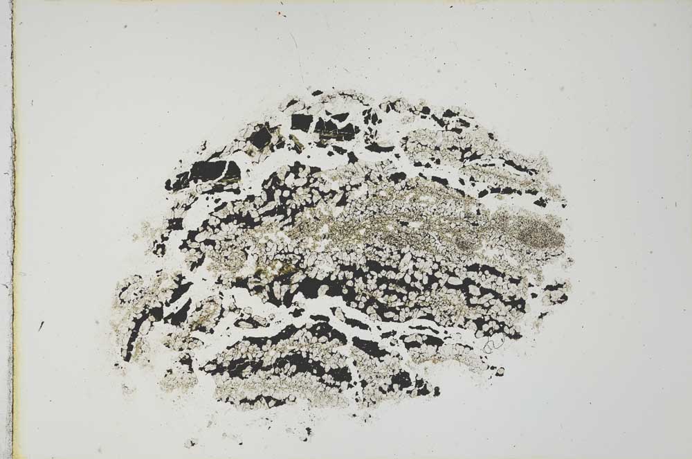 Plane Polarized, S20787