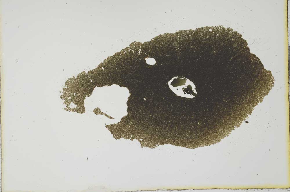 Plane Polarized, S20791