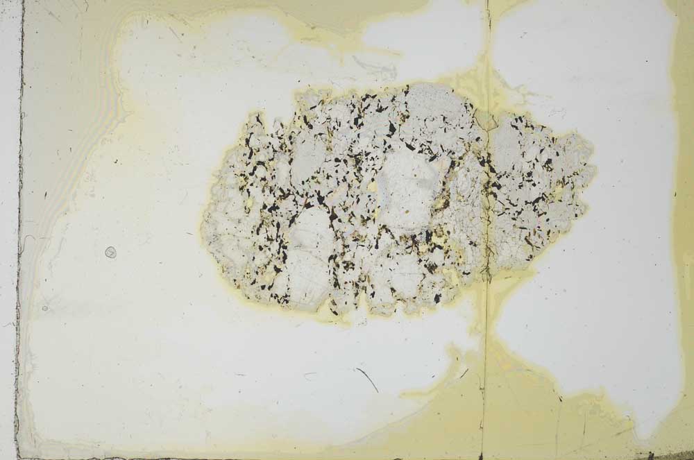 Plane Polarized, S20819
