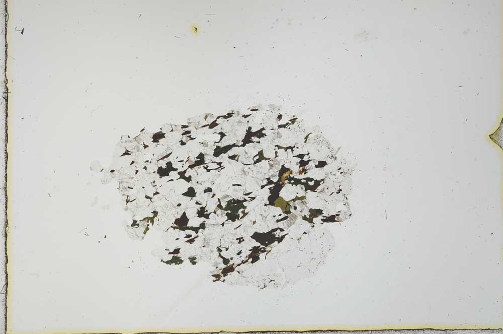 Plane Polarized, S20820