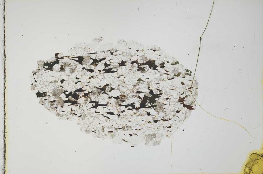 Plane Polarized, S20821