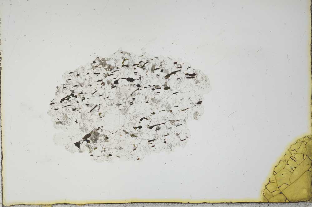 Plane Polarized, S20822