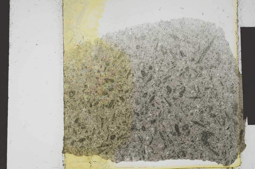 Plane Polarized, S20883