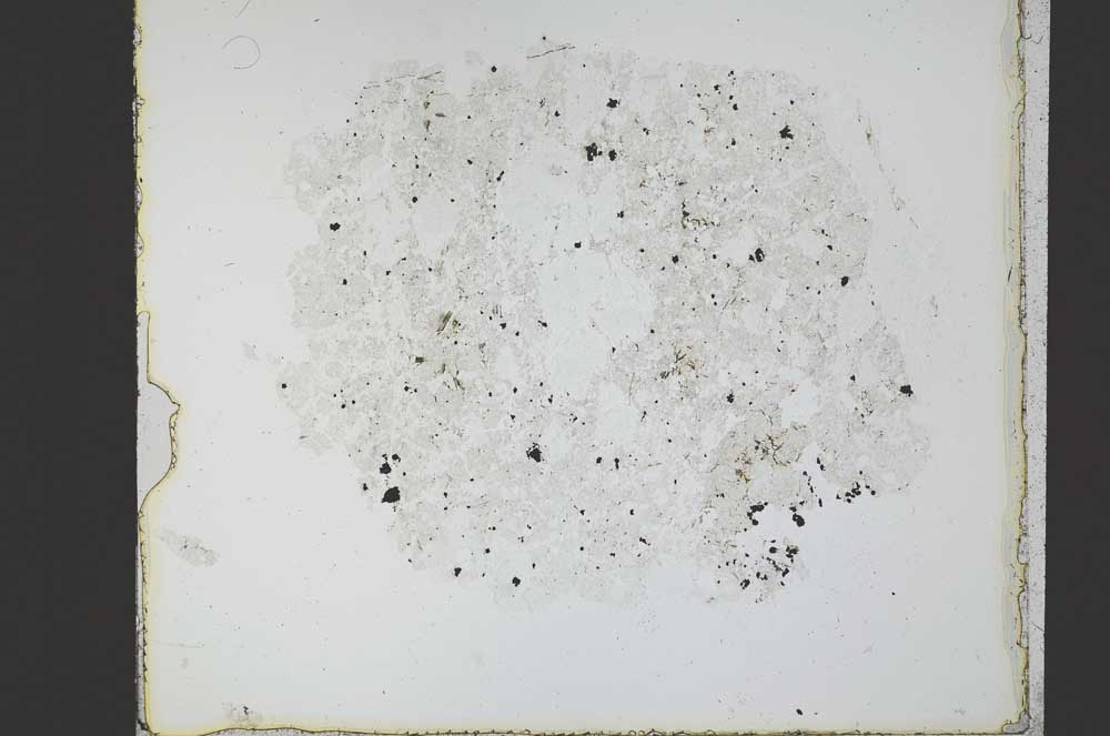 Plane Polarized, S20904