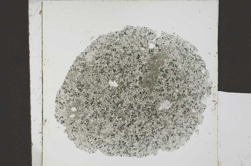 Plane Polarized, S20916