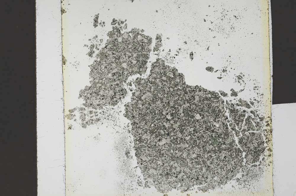 Plane Polarized, S20919