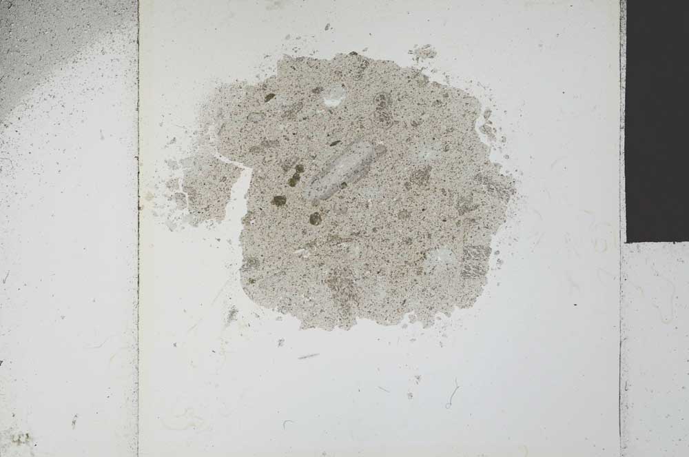 Plane Polarized, S20929