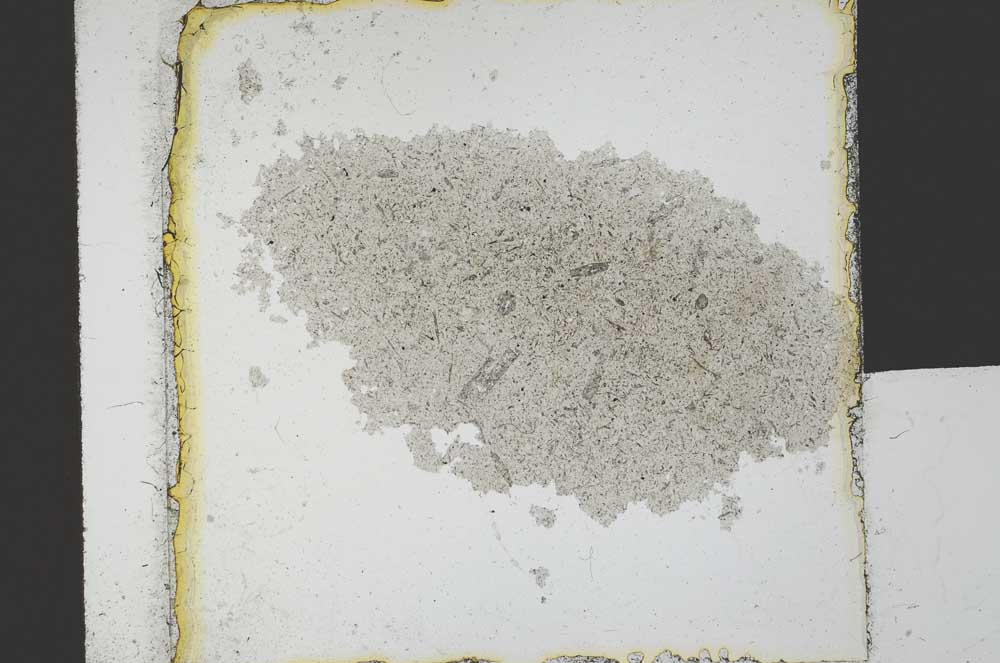 Plane Polarized, S20963