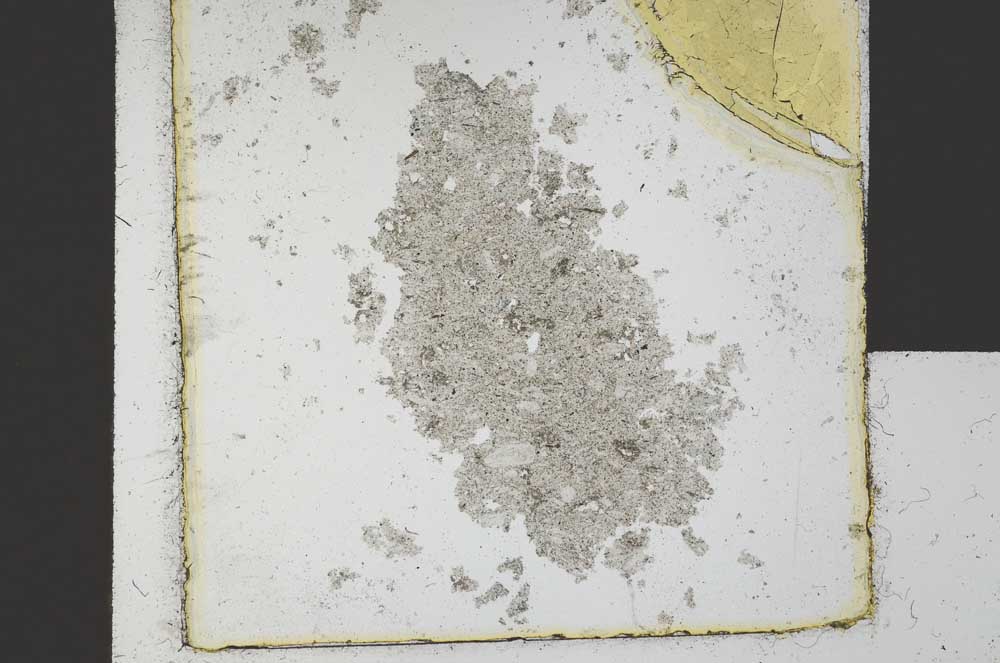 Plane Polarized, S20964