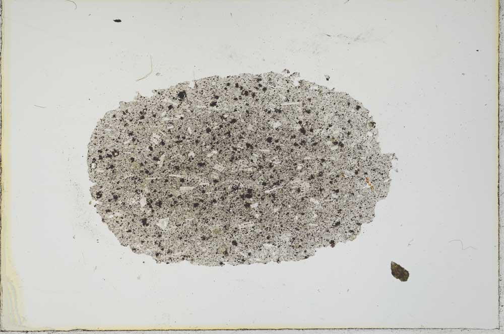 Plane Polarized, S20970