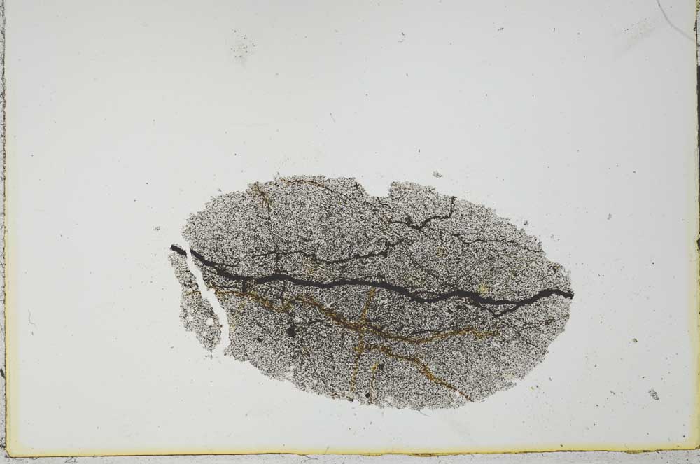Plane Polarized, S20976
