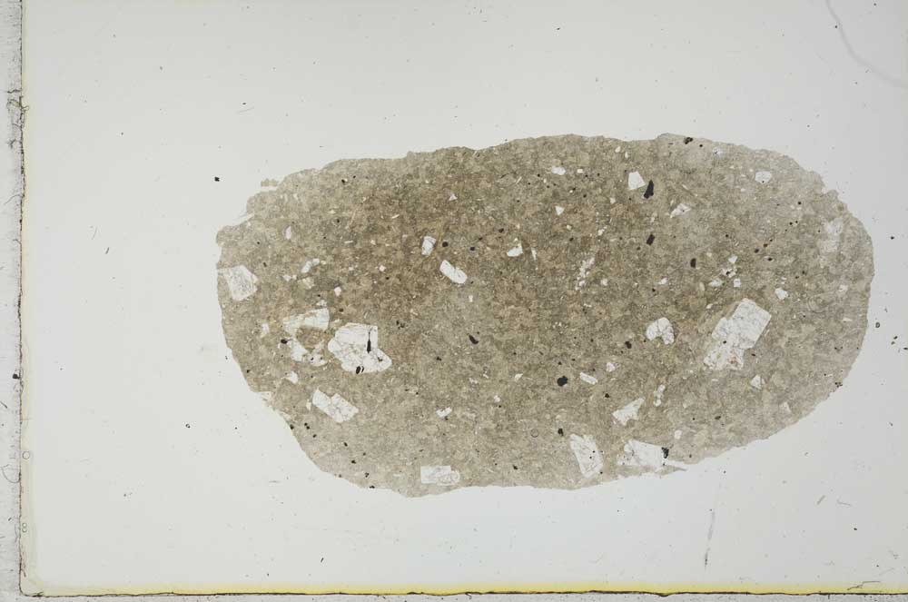 Plane Polarized, S20977