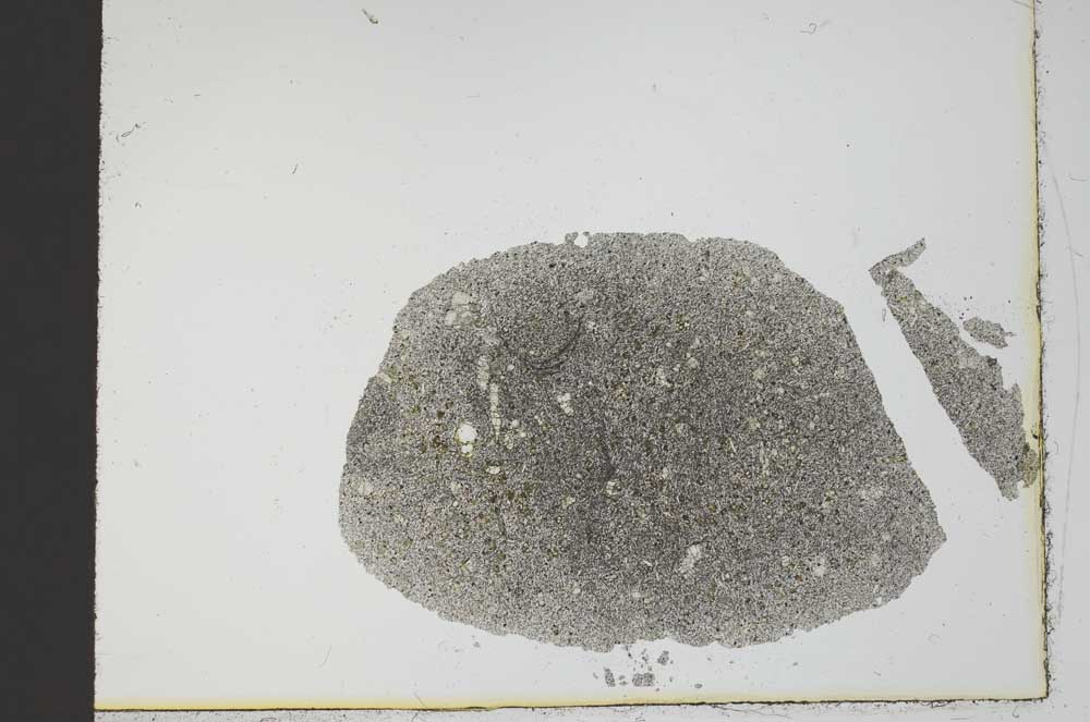 Plane Polarized, S20986