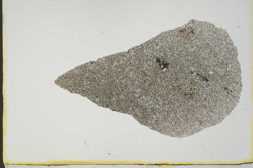 Plane Polarized, S20996