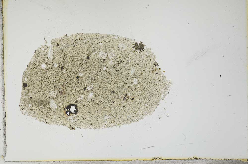 Plane Polarized, S21023