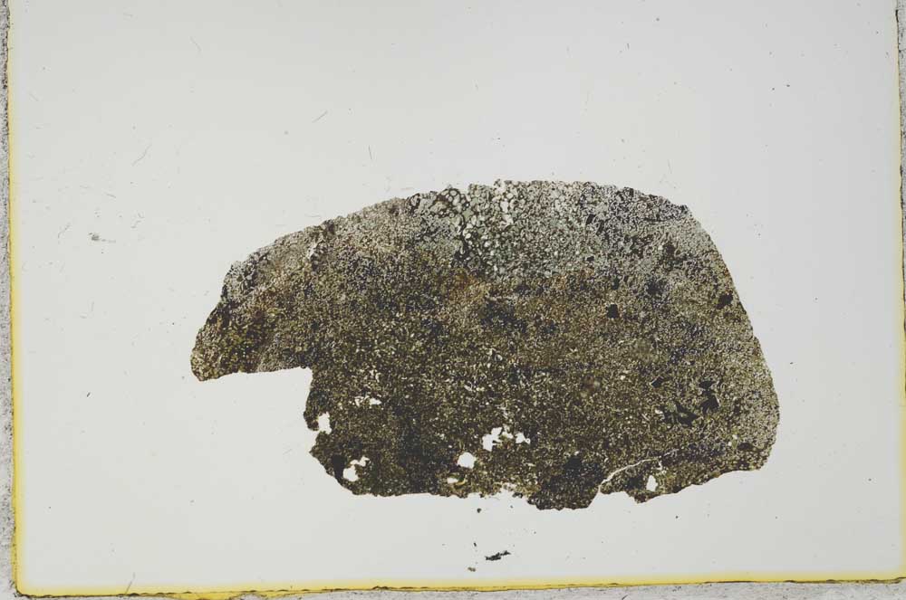 Plane Polarized, S21039
