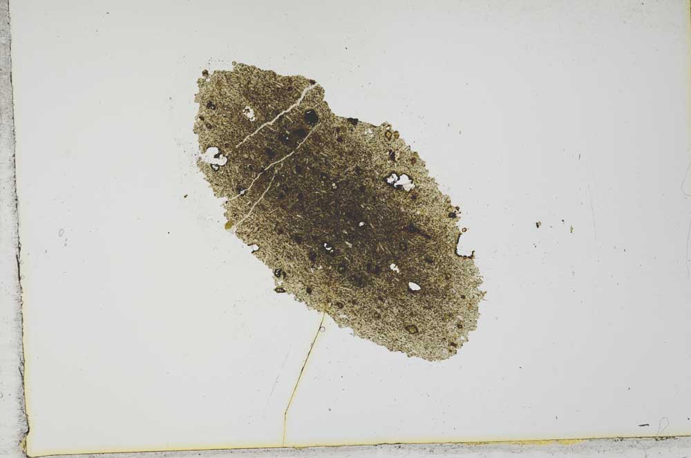 Plane Polarized, S21040